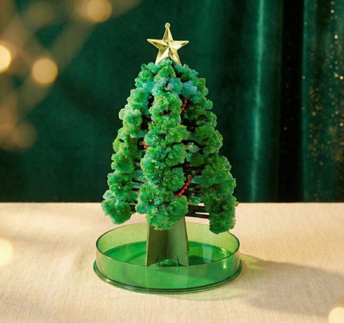 Enchanted Growing Holiday Tree Kit