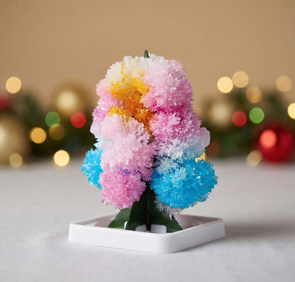 Enchanted Growing Holiday Tree Kit